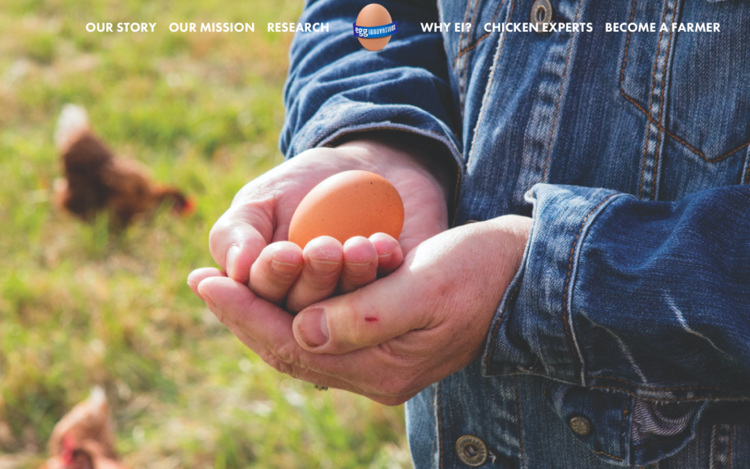 Egg Innovations Website