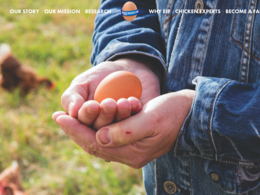 Egg Innovations Website