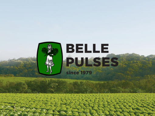 Belle Pulses